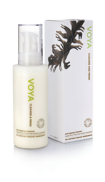 Cleanse And Mend - VOYA