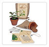Schwarzerle - Saatset - Extragoods
