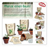 Schwarzerle - Saatset - Extragoods