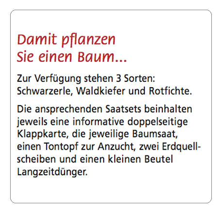 Rotfichte - Saatset - Extragoods