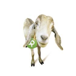 Ziege - OxfamUnverpackt