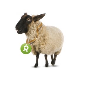 Schaf - OxfamUnverpackt