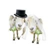 Ziegenpärchen - OxfamUnverpackt