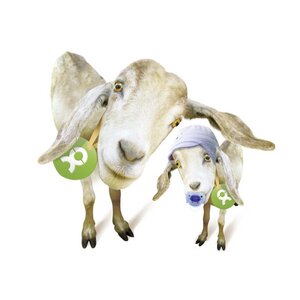Eineinhalb Ziegen - OxfamUnverpackt
