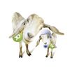 Eineinhalb Ziegen - OxfamUnverpackt