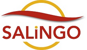 SALINGO2011