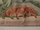 Meiler11